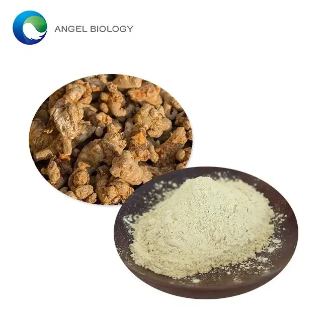 Panax Notoginseng Root Extract Powder